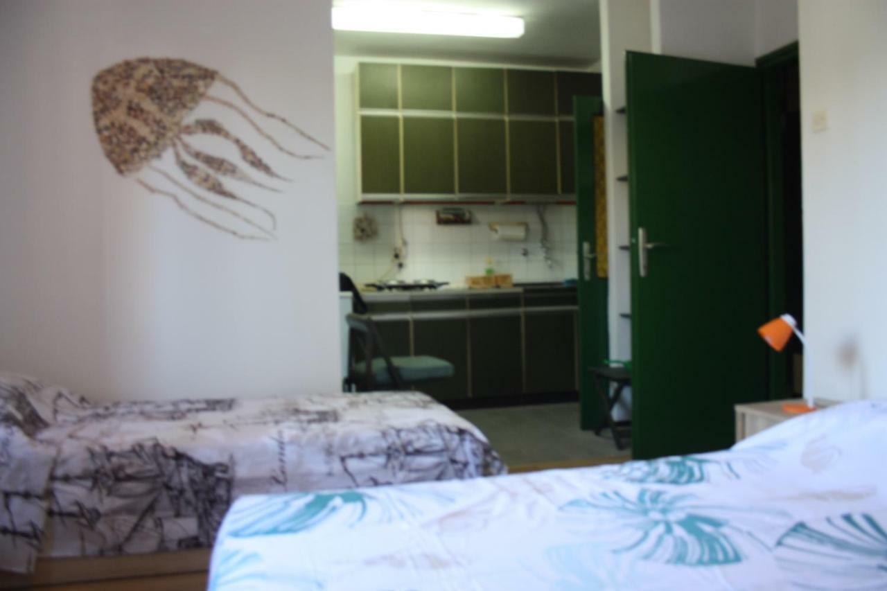 As Apartman Διαμέρισμα Ρόβινι Εξωτερικό φωτογραφία
